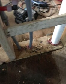 WhatsApp Image 2021-05-19 at 7.20.55 AM (1)