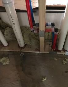 WhatsApp Image 2021-05-19 at 7.20.54 AM