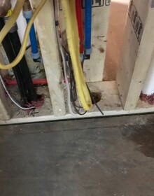 WhatsApp Image 2021-05-19 at 7.20.55 AM